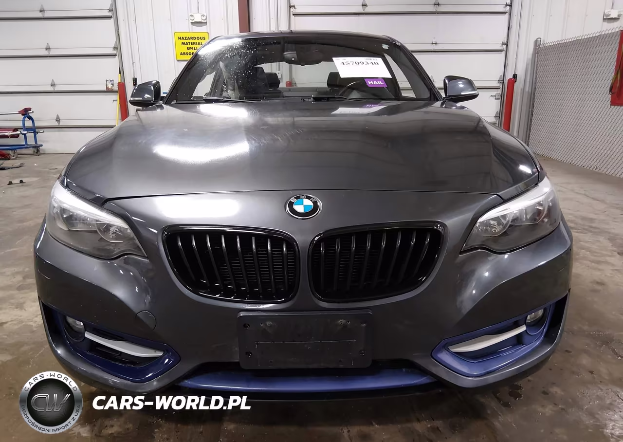 2016 BMW 228I xDrive VIN:WBA1G9C55GVX97318 - 13