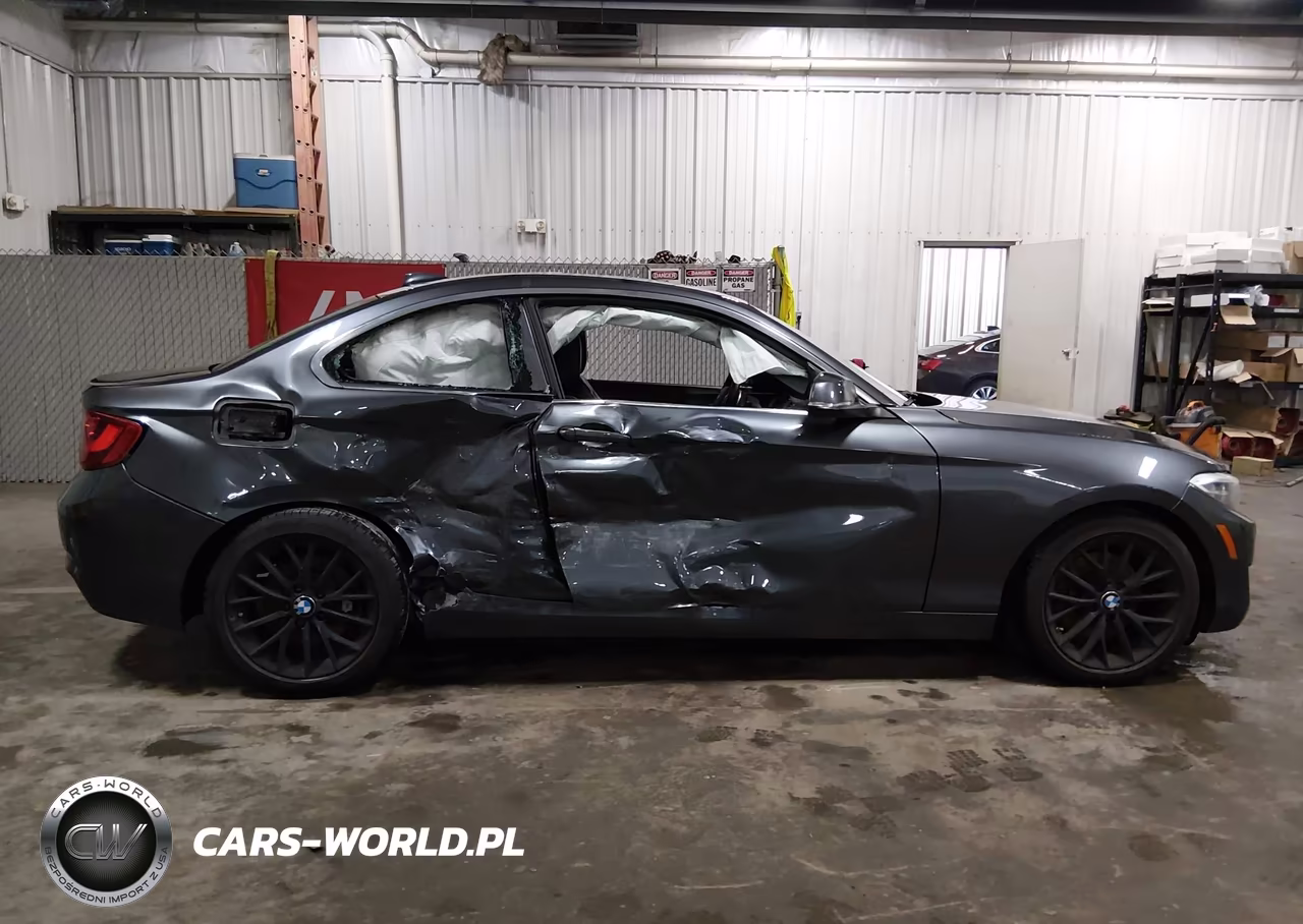 2016 BMW 228I xDrive VIN:WBA1G9C55GVX97318 - 14