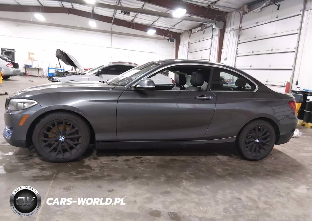 2016 BMW 228I xDrive VIN:WBA1G9C55GVX97318 - 15