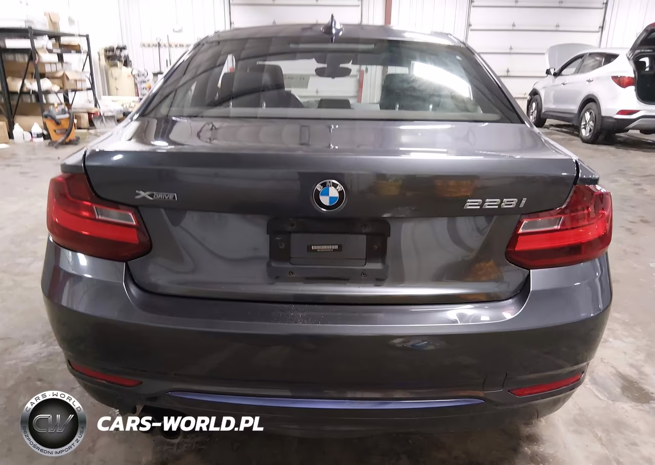 2016 BMW 228I xDrive VIN:WBA1G9C55GVX97318 - 17