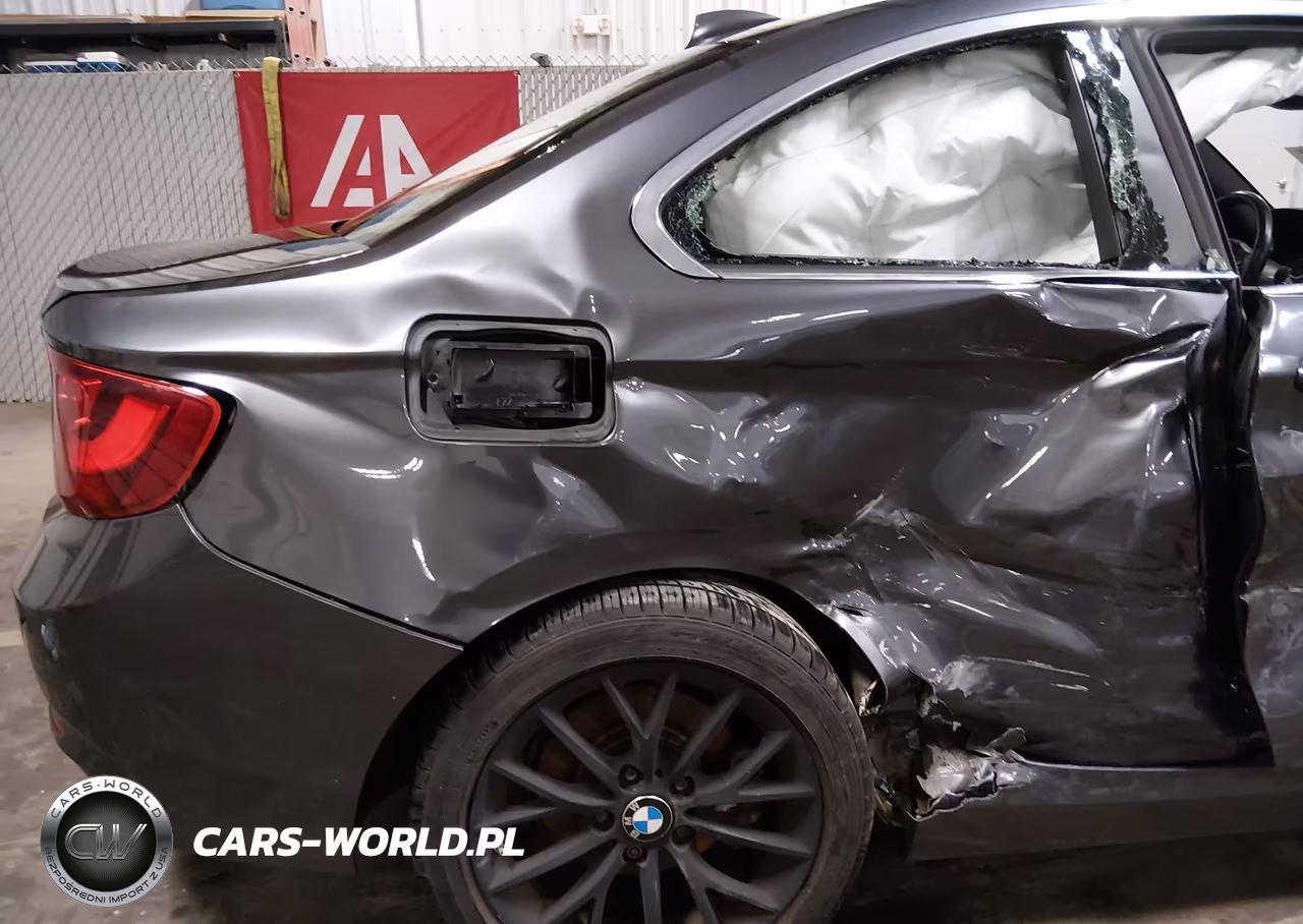 2016 BMW 228I xDrive VIN:WBA1G9C55GVX97318 - 18