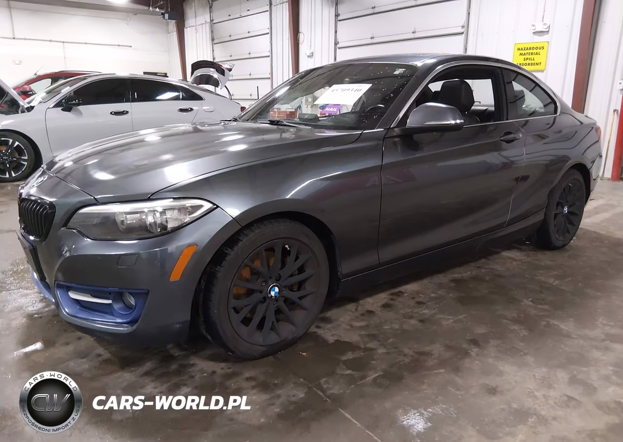 2016 BMW 228I xDrive VIN:WBA1G9C55GVX97318 - 2