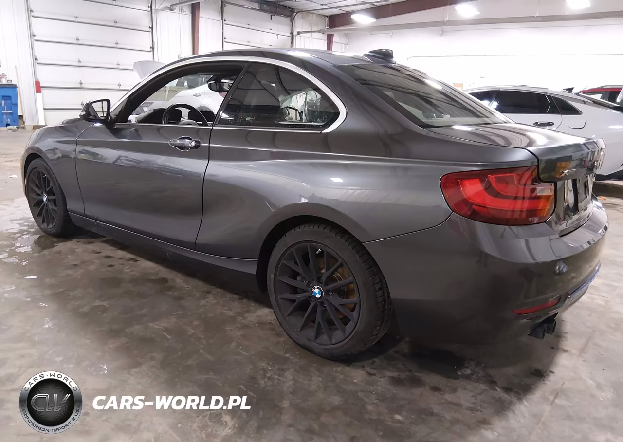 2016 BMW 228I xDrive VIN:WBA1G9C55GVX97318 - 3