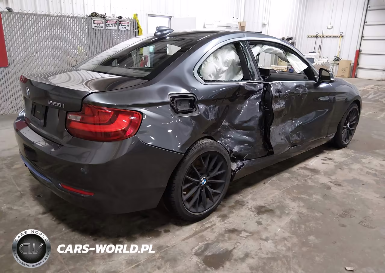 2016 BMW 228I xDrive VIN:WBA1G9C55GVX97318 - 4