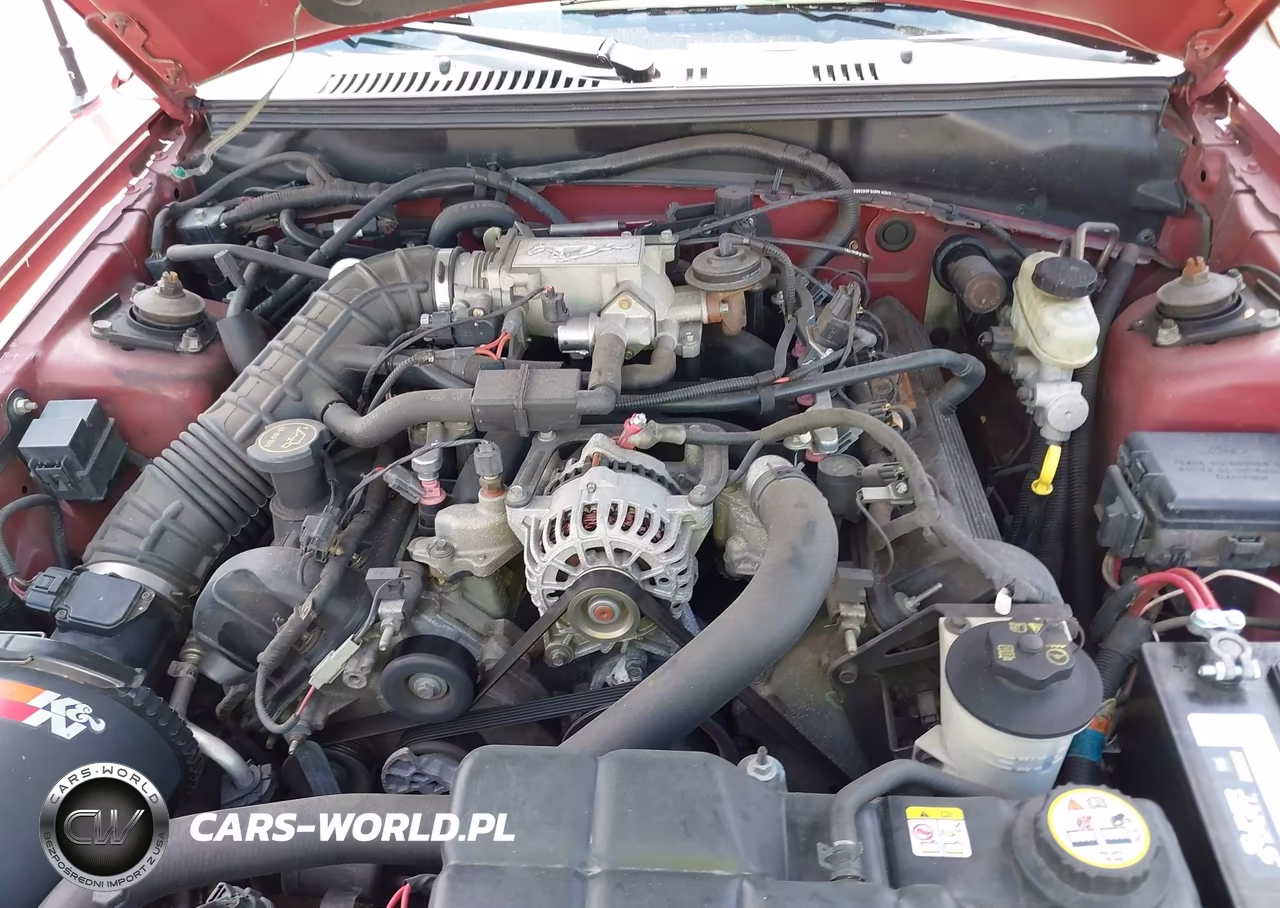 2004 Ford Mustang Gt VIN:1FAFP45X04F189406 - 10