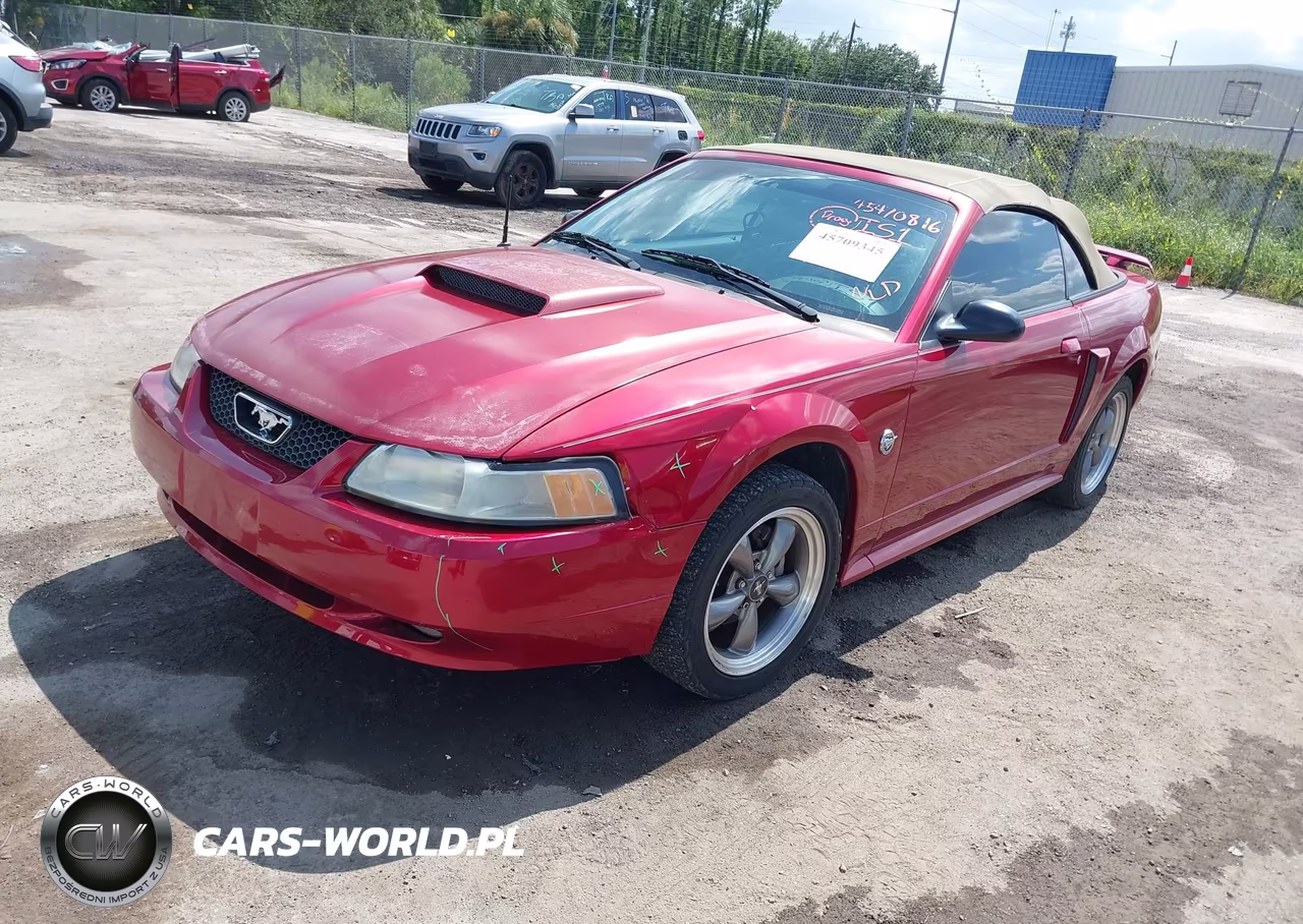 2004 Ford Mustang Gt VIN:1FAFP45X04F189406 - 2