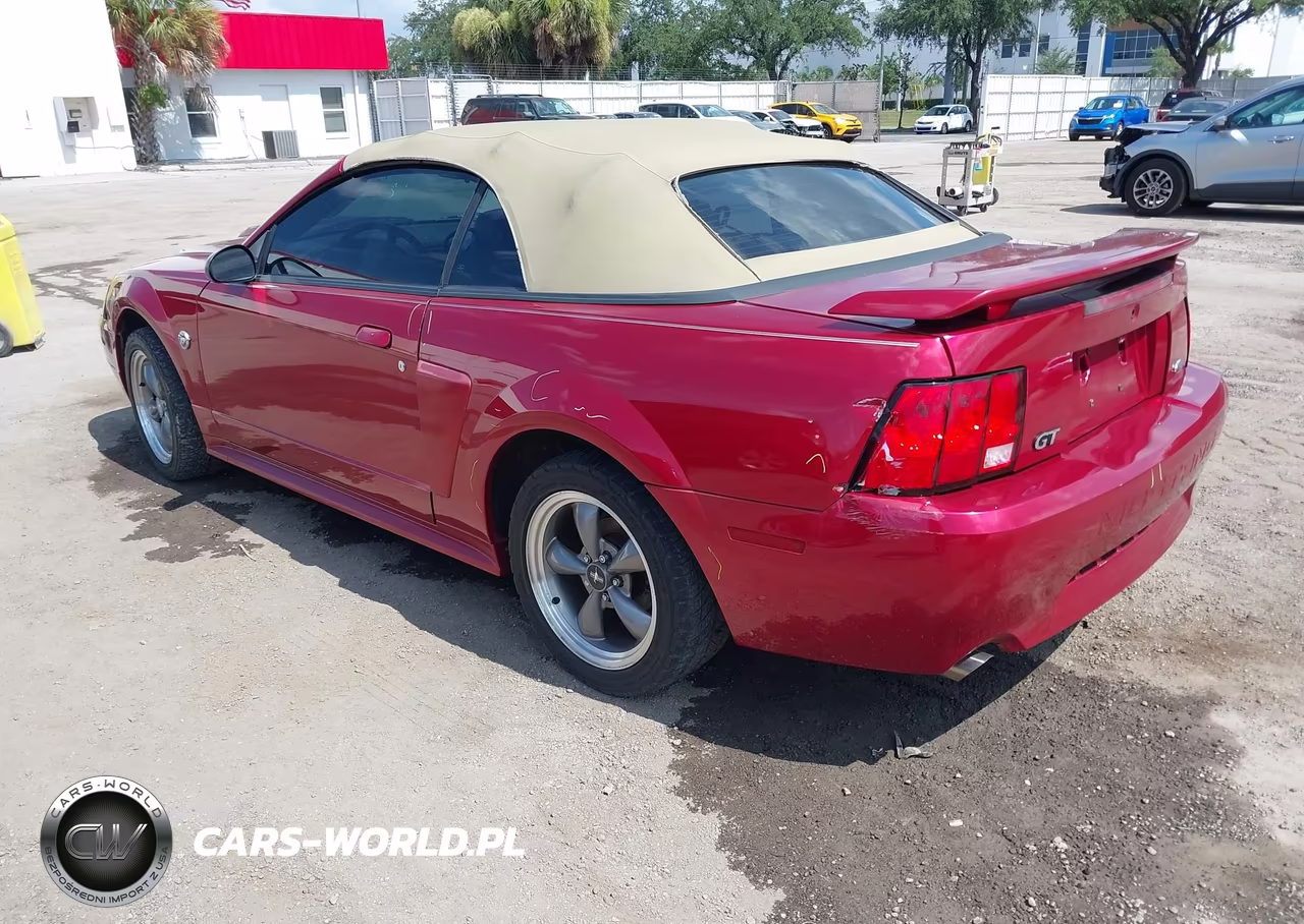 2004 Ford Mustang Gt VIN:1FAFP45X04F189406 - 3