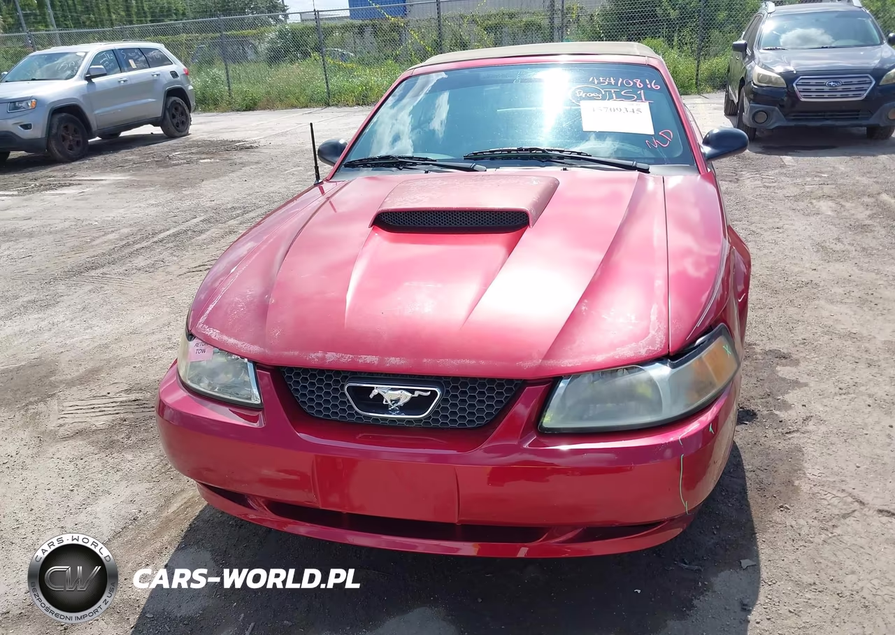 2004 Ford Mustang Gt VIN:1FAFP45X04F189406 - 6