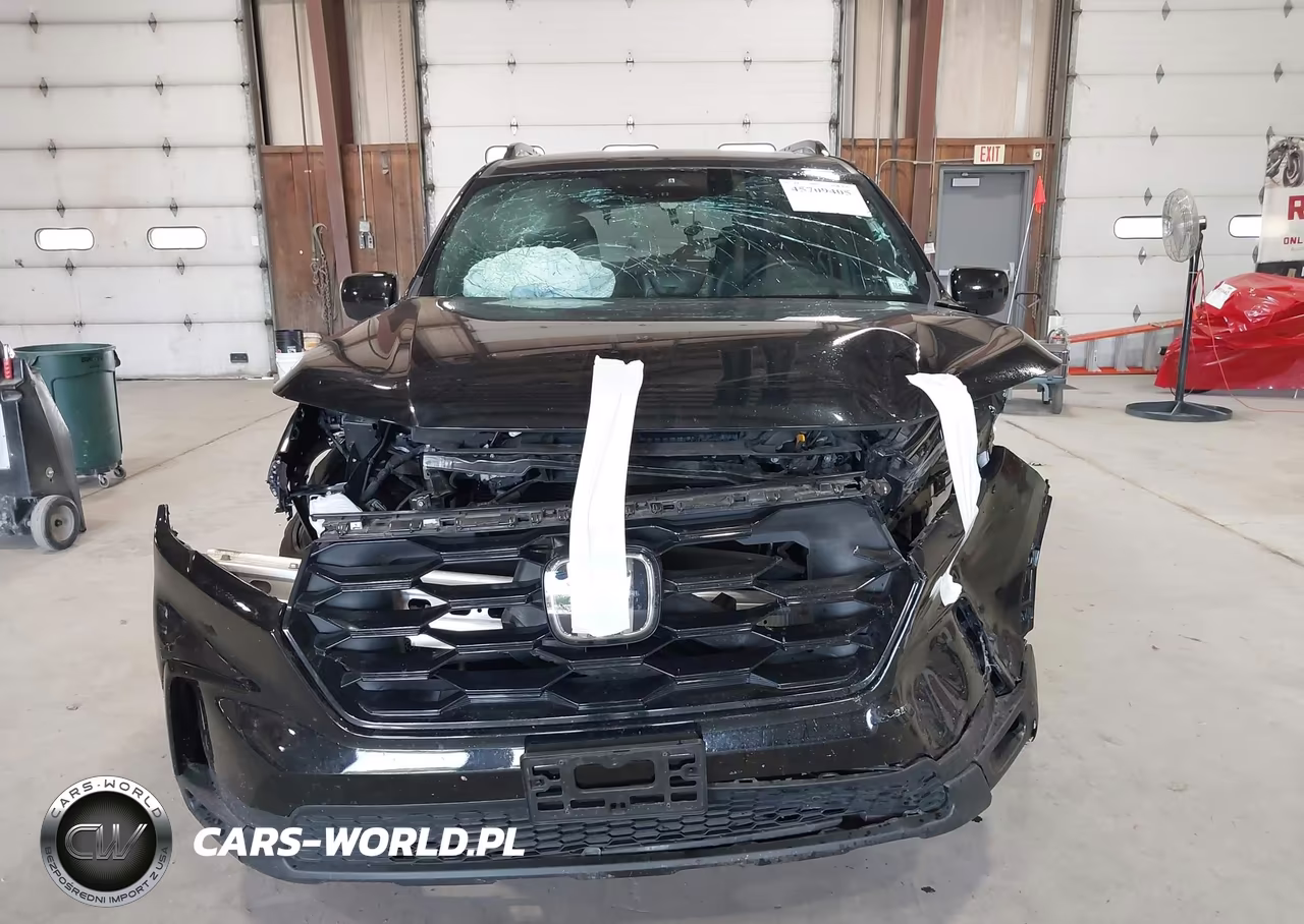 2025 Honda Pilot Black Edition VIN:5FNYG1H9XSB060315 - 12