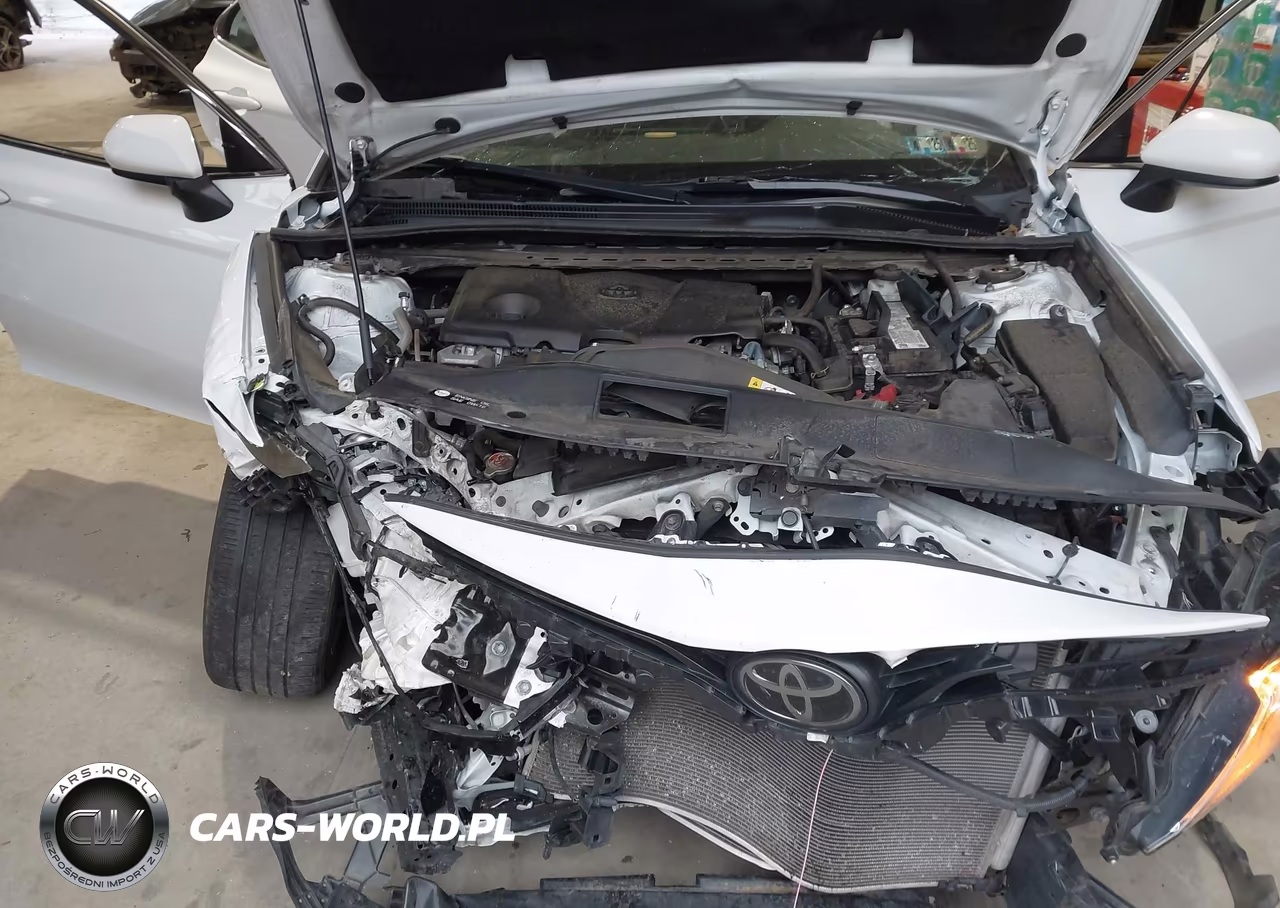 2022 Toyota Camry Le VIN:4T1C11AKXNU630975 - 10