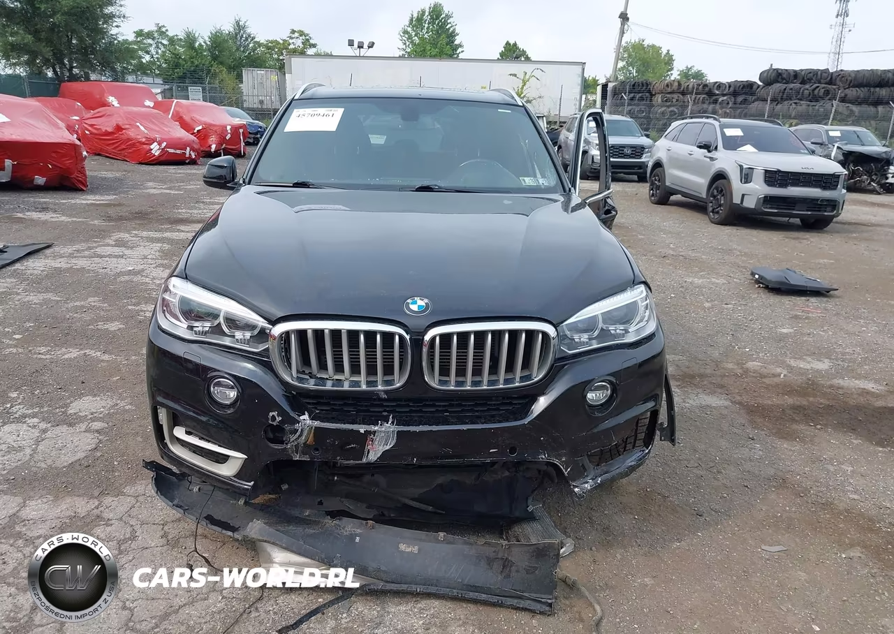 2017 BMW X5 Edrive xDrive40E Iperformance VIN:5UXKT0C53H0S79929 - 13