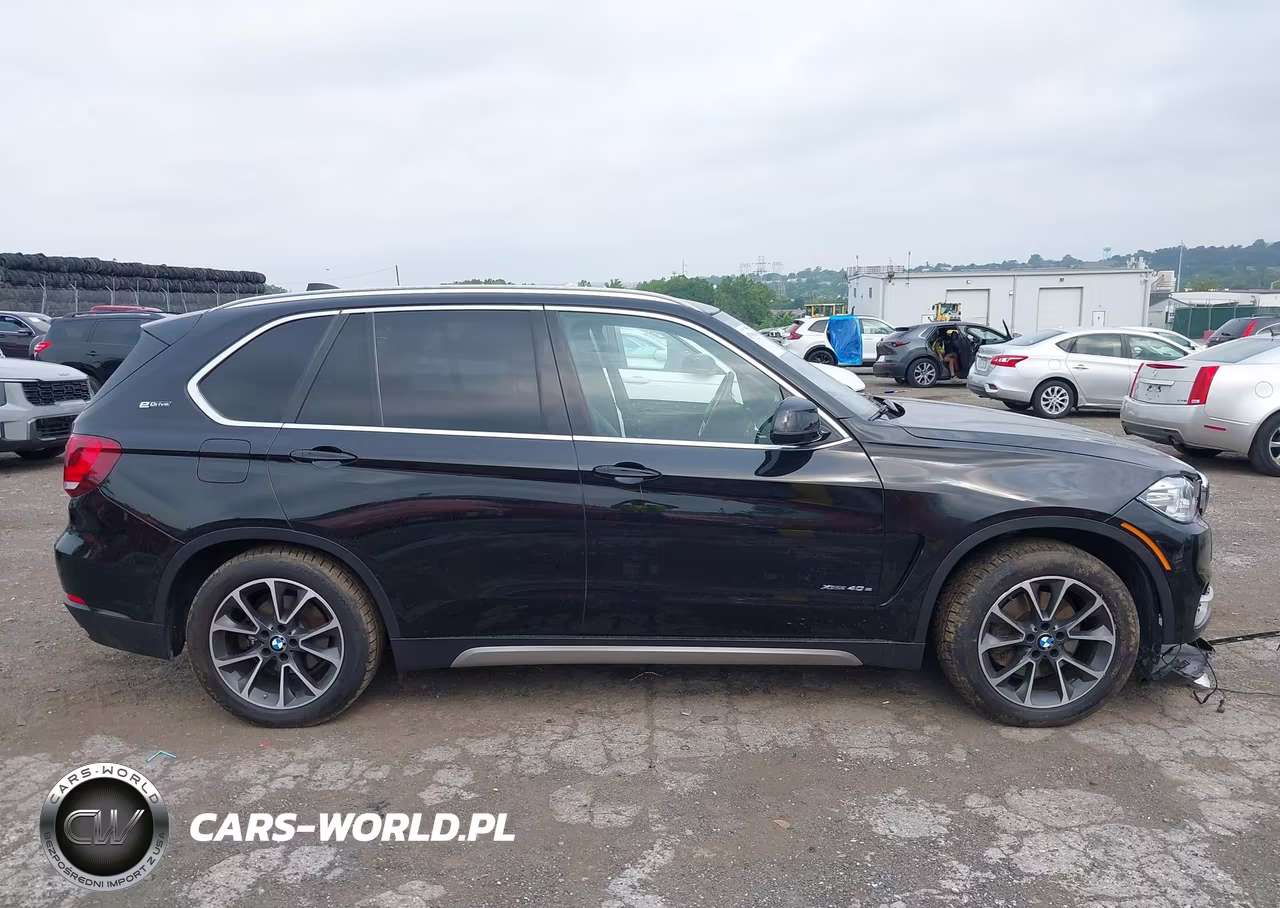2017 BMW X5 Edrive xDrive40E Iperformance VIN:5UXKT0C53H0S79929 - 14