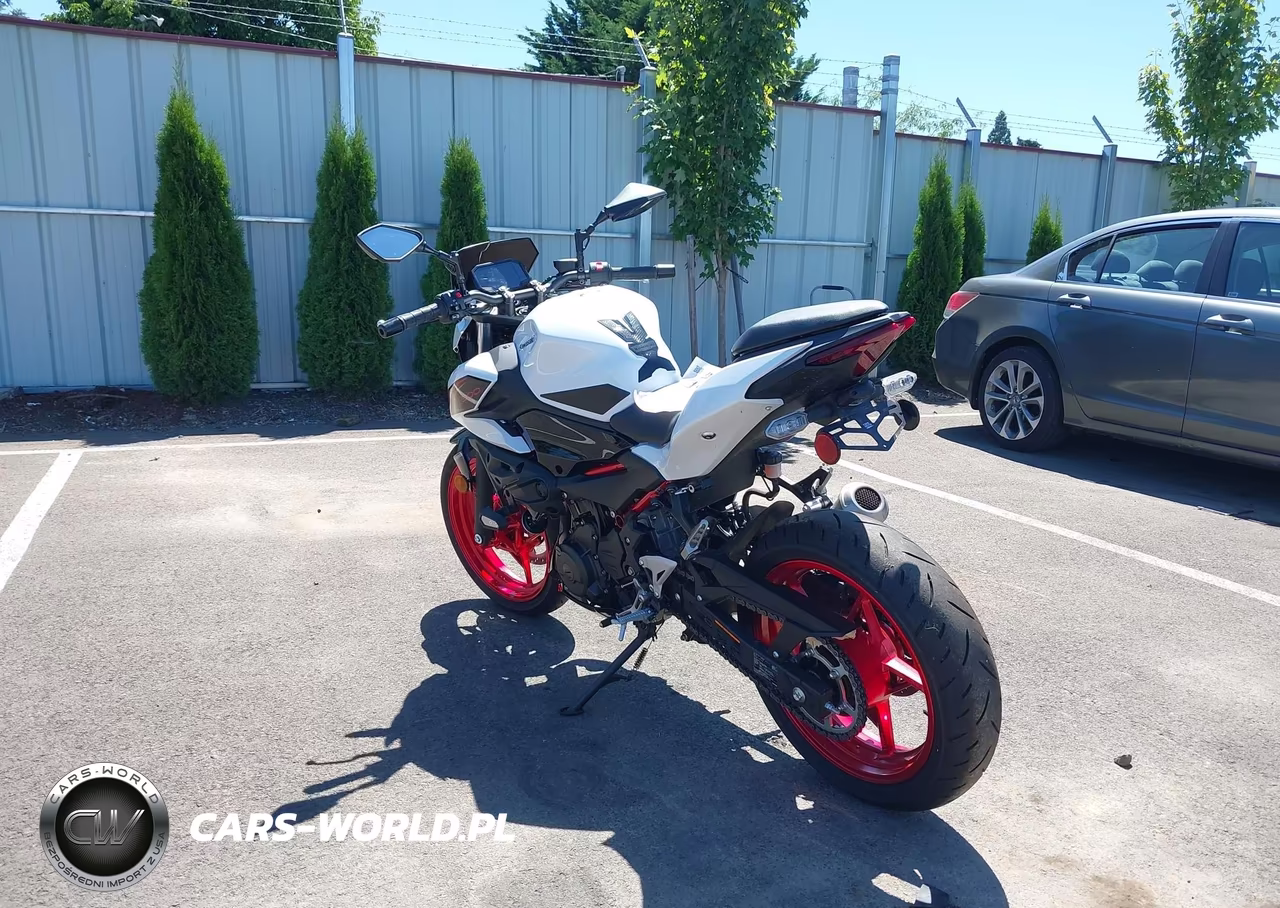 2026 Kawasaki Er500 VIN:ML5ERGF12TDAA4108 - 3