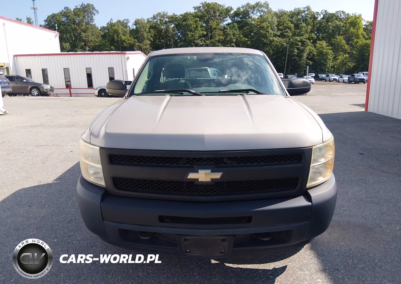 2009 Chevrolet Silverado 1500 Work Truck VIN:1GCEK14X49Z262710 - 12