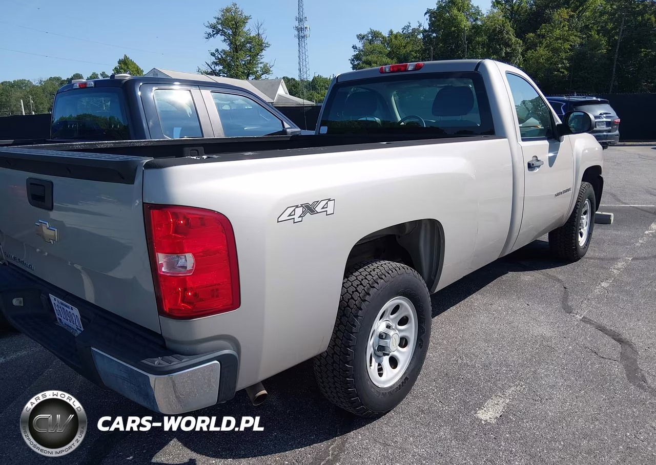 2009 Chevrolet Silverado 1500 Work Truck VIN:1GCEK14X49Z262710 - 4