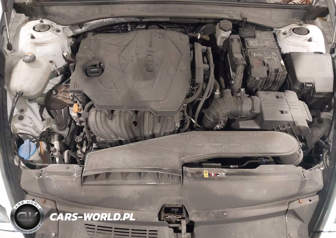 2020 Hyundai Sonata Se VIN:5NPEG4JA4LH054361 - 10