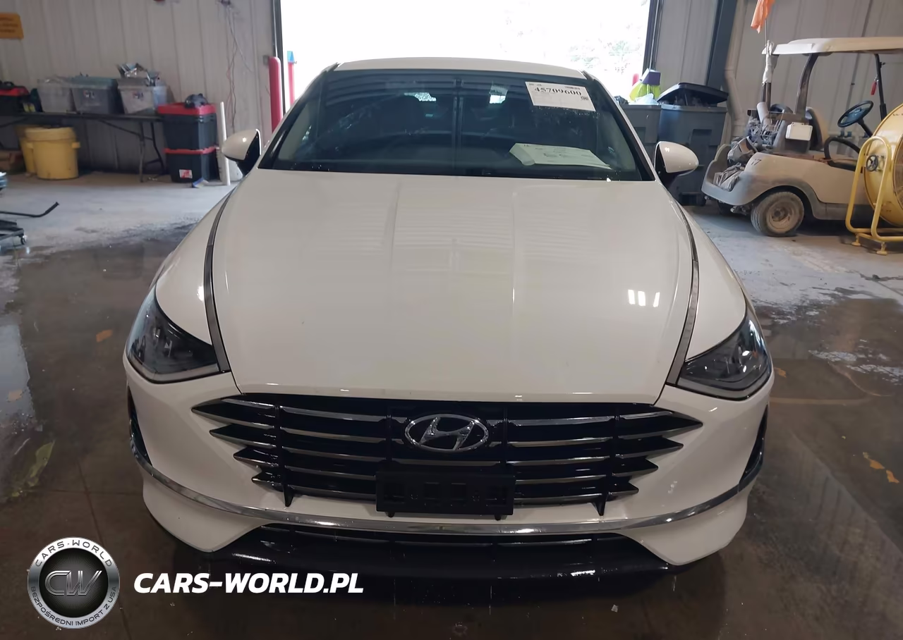 2020 Hyundai Sonata Se VIN:5NPEG4JA4LH054361 - 12