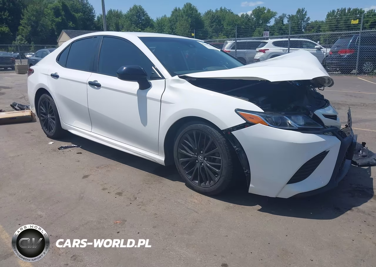 2019 Toyota Camry Se VIN:4T1B11HK3KU300303 - 1