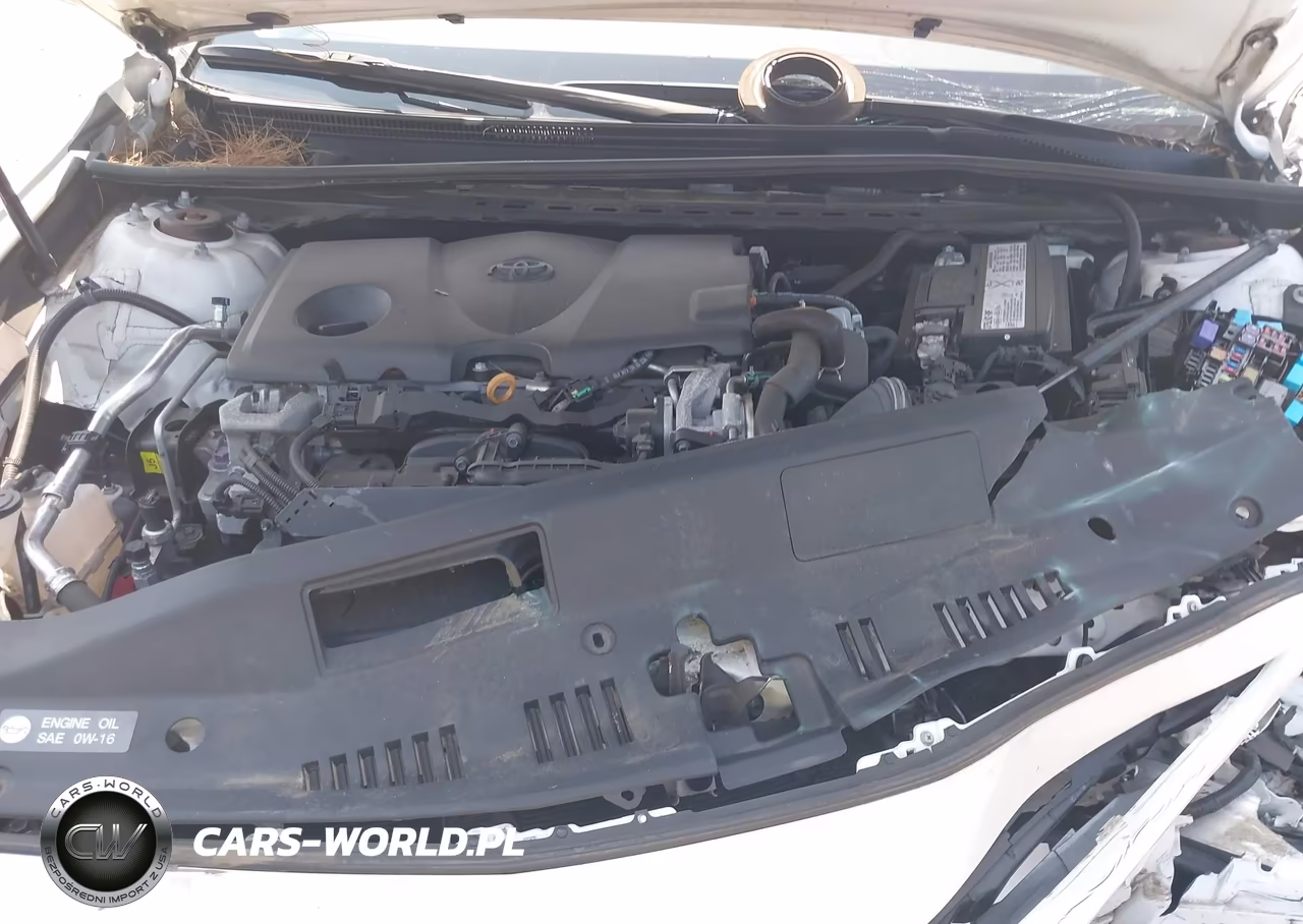 2019 Toyota Camry Se VIN:4T1B11HK3KU300303 - 10