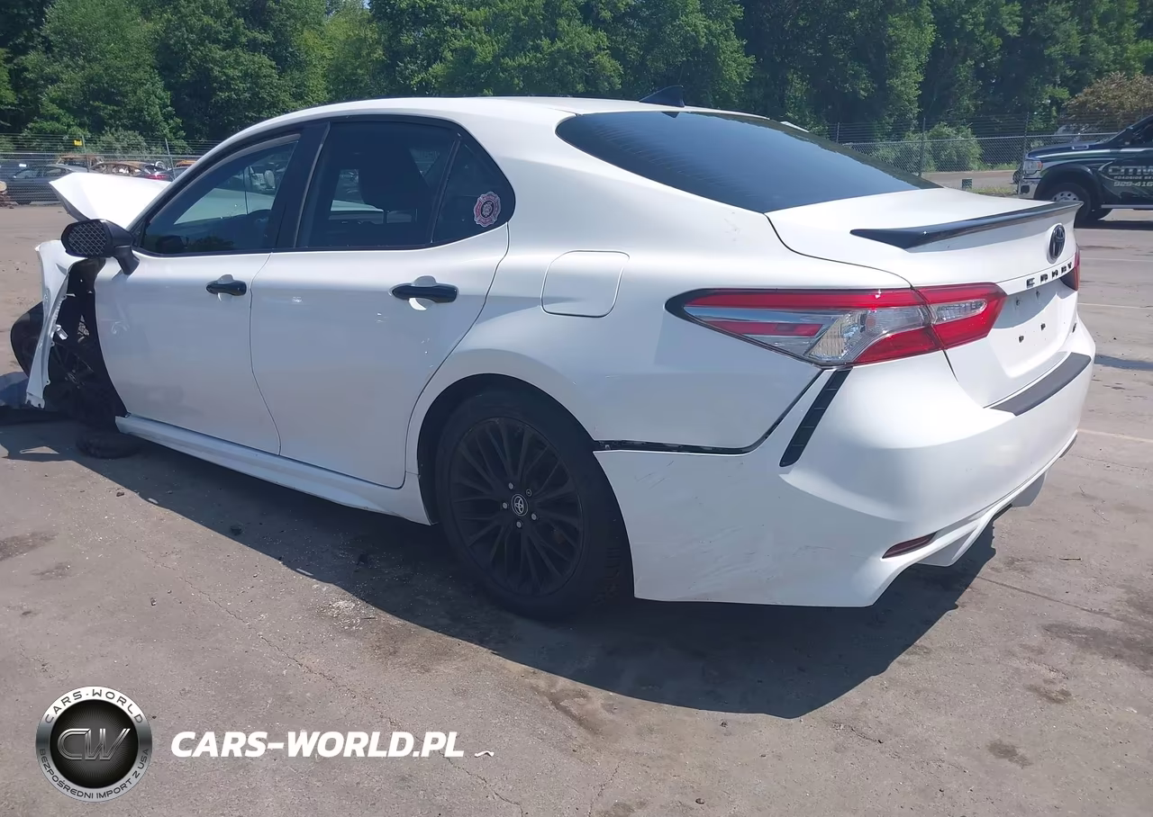 2019 Toyota Camry Se VIN:4T1B11HK3KU300303 - 3