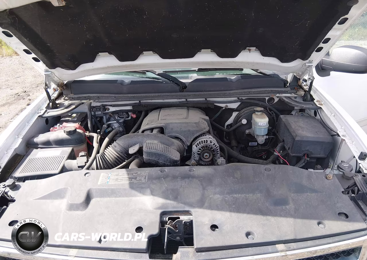 2009 Chevrolet Silverado 1500 Lt VIN:1GCEK29039Z298342 - 10
