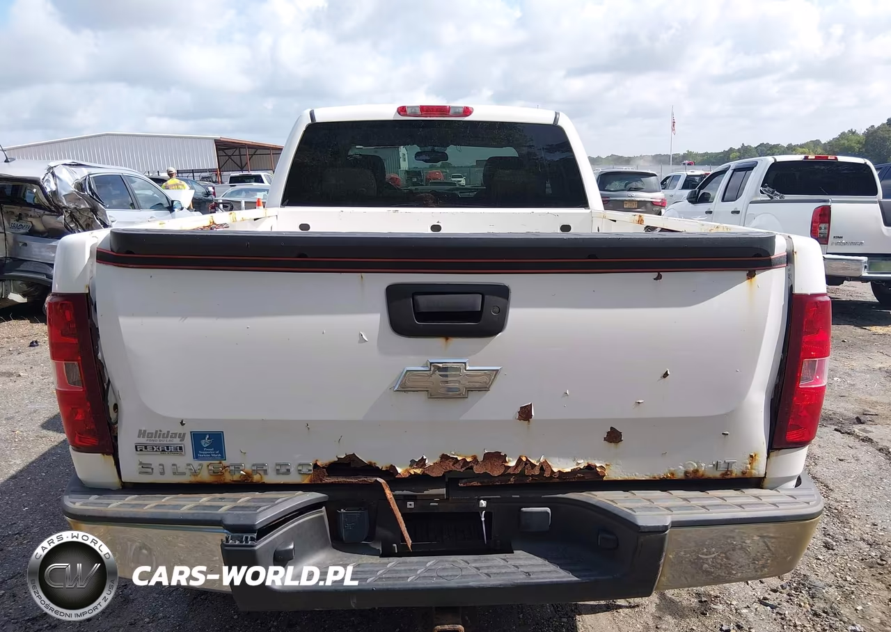 2009 Chevrolet Silverado 1500 Lt VIN:1GCEK29039Z298342 - 16