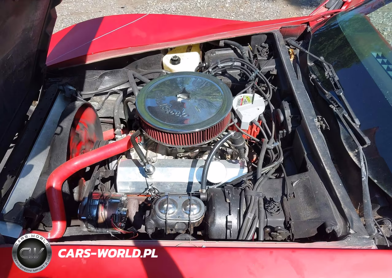 1979 Chevrolet Corvette VIN:00001Z8749S430133 - 10