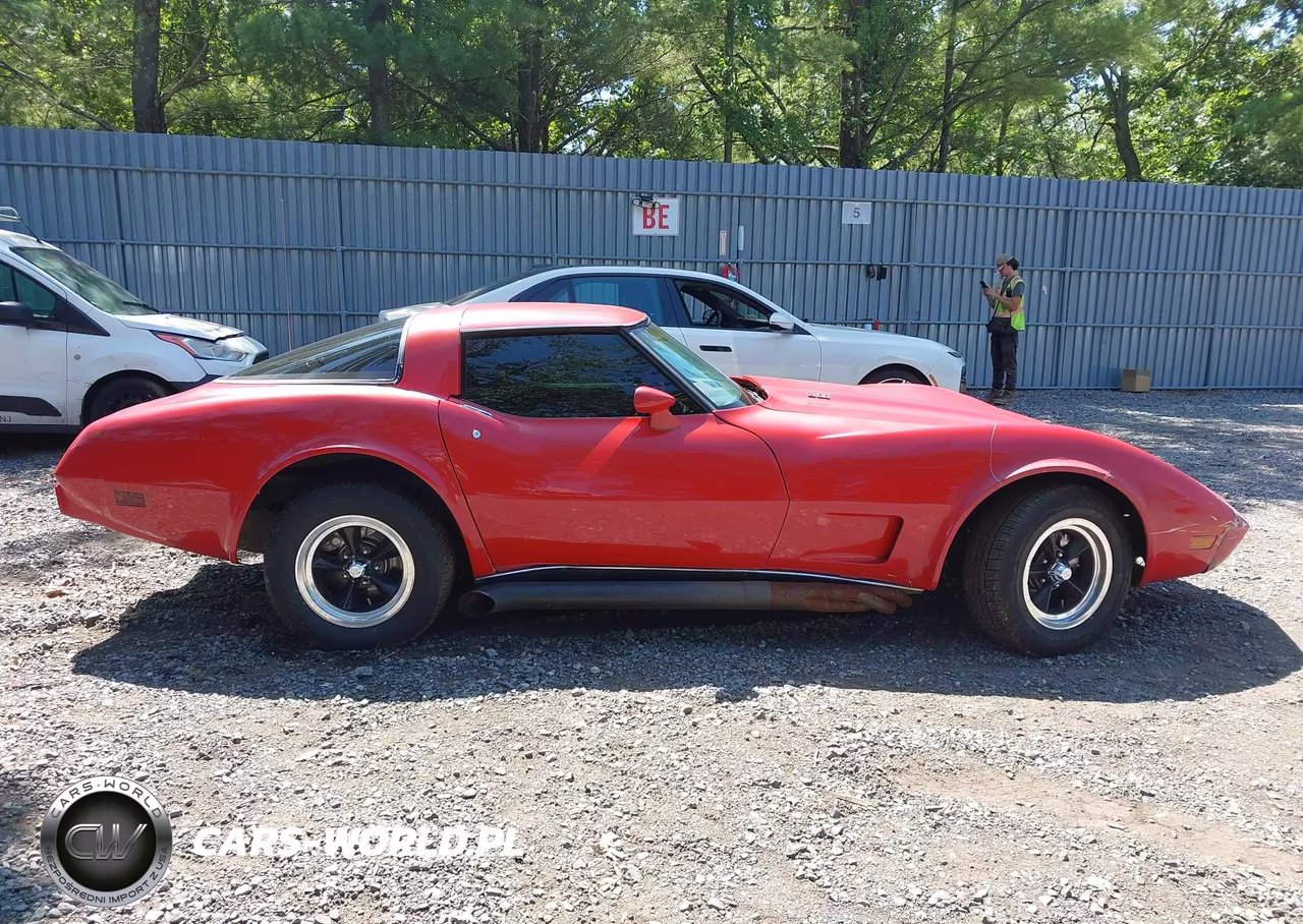 1979 Chevrolet Corvette VIN:00001Z8749S430133 - 13