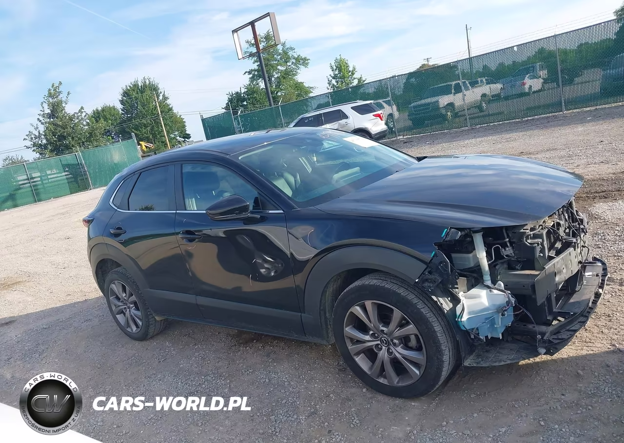2020 Mazda Cx-30 Select Package VIN:3MVDMACL7LM115986 - 14