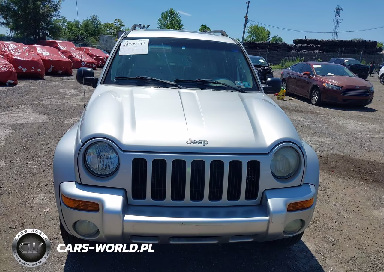 2004 Jeep Liberty Limited Edition VIN:1J8GL58K54W116489 - 6