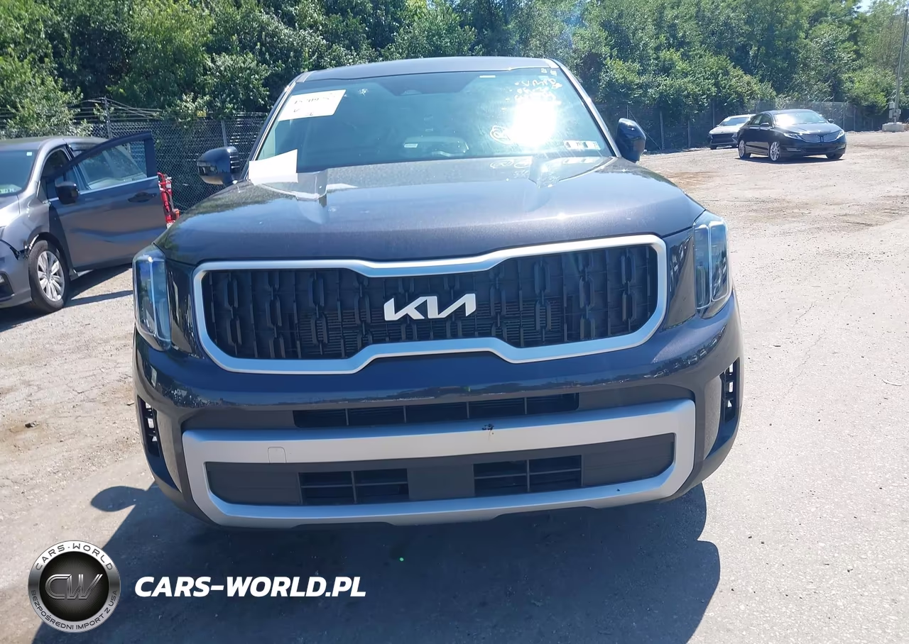 2025 Kia Telluride Lx VIN:5XYP24GC7SG641174 - 12