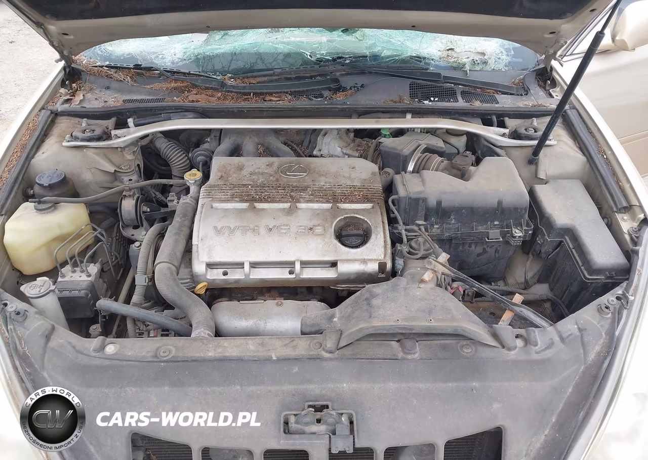 2004 Lexus Es 330 VIN:JTHBA30G640016275 - 10