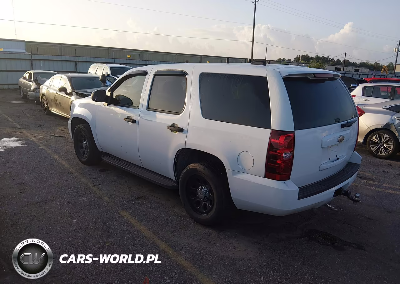 2010 Chevrolet Tahoe Ls VIN:1GNMCAE04AR232127 - 3