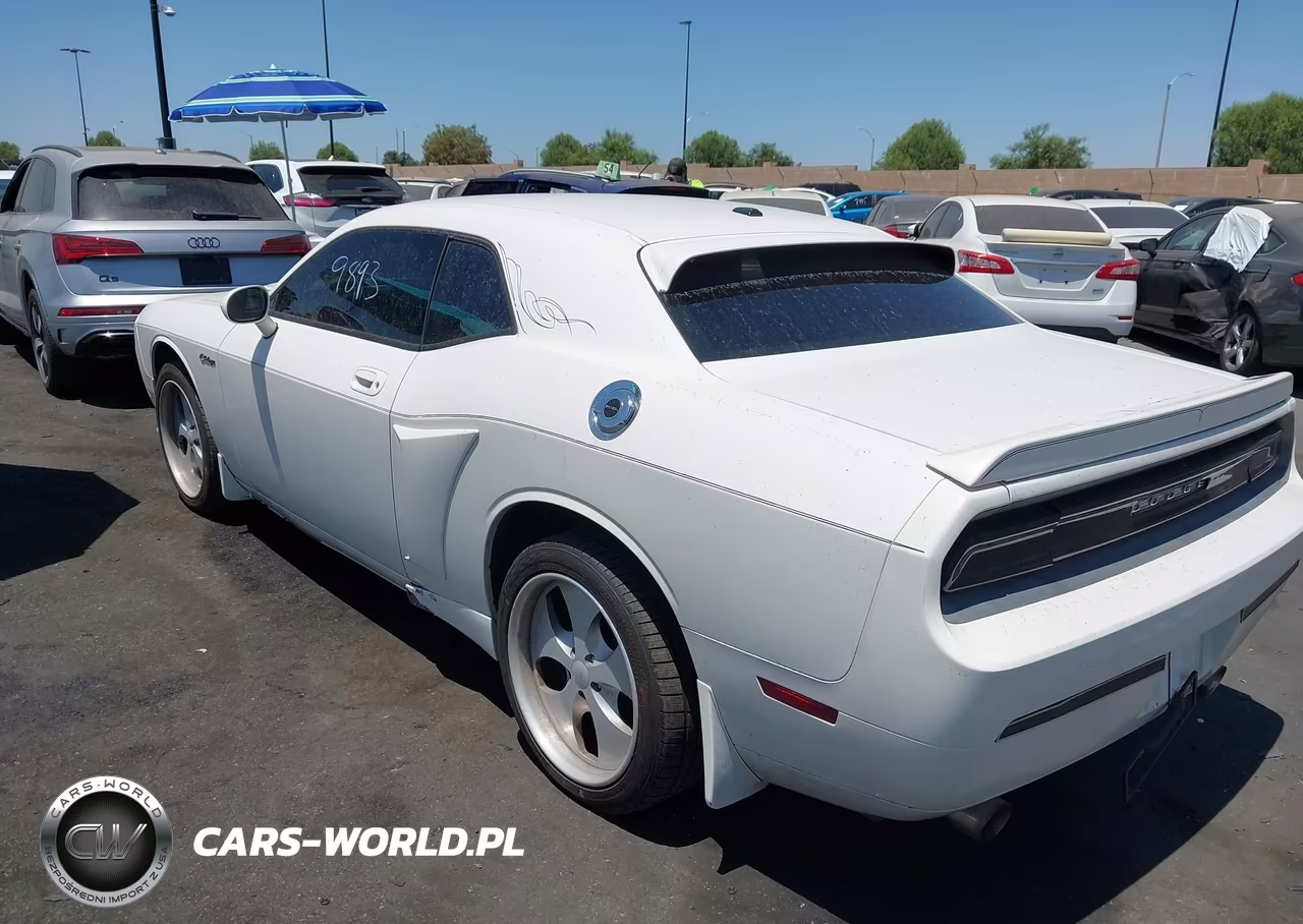 2010 Dodge Challenger Se VIN:2B3CJ4DV2AH215806 - 3