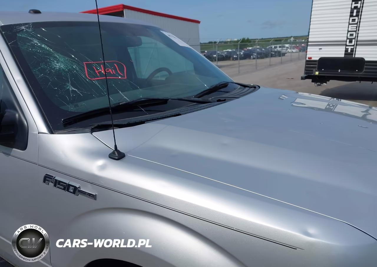 2011 Ford F-150 Xlt VIN:1FTFW1ET1BFB44125 - 6