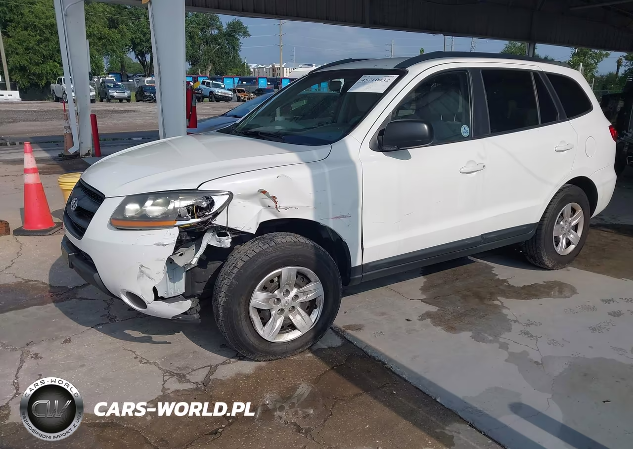2009 Hyundai Santa Fe Gls VIN:5NMSG13D39H248121 - 2