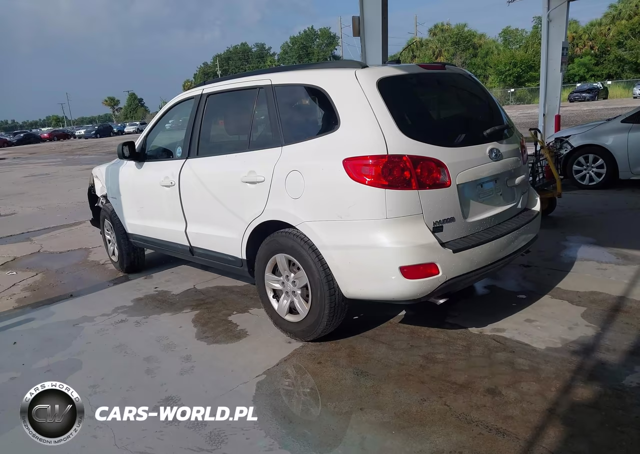 2009 Hyundai Santa Fe Gls VIN:5NMSG13D39H248121 - 3