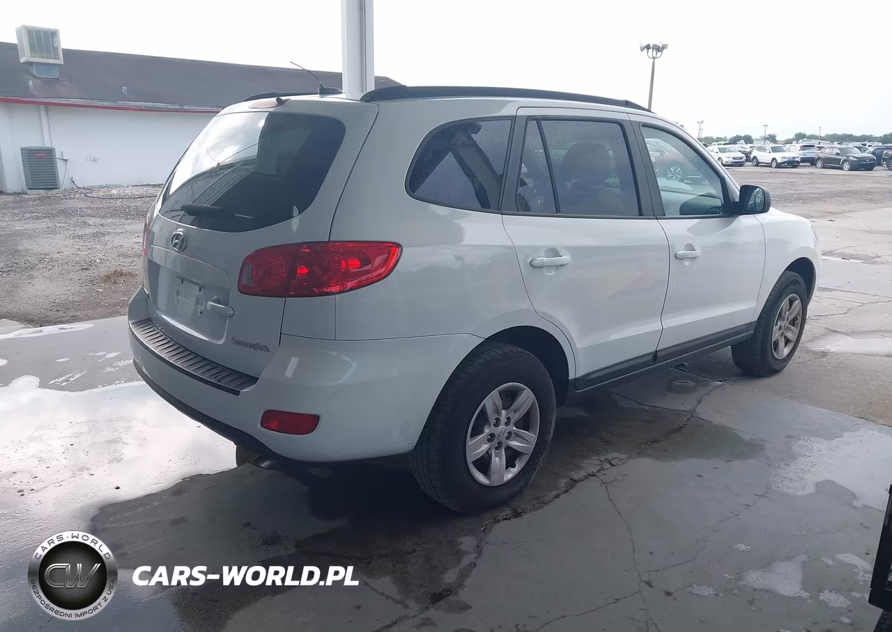 2009 Hyundai Santa Fe Gls VIN:5NMSG13D39H248121 - 4