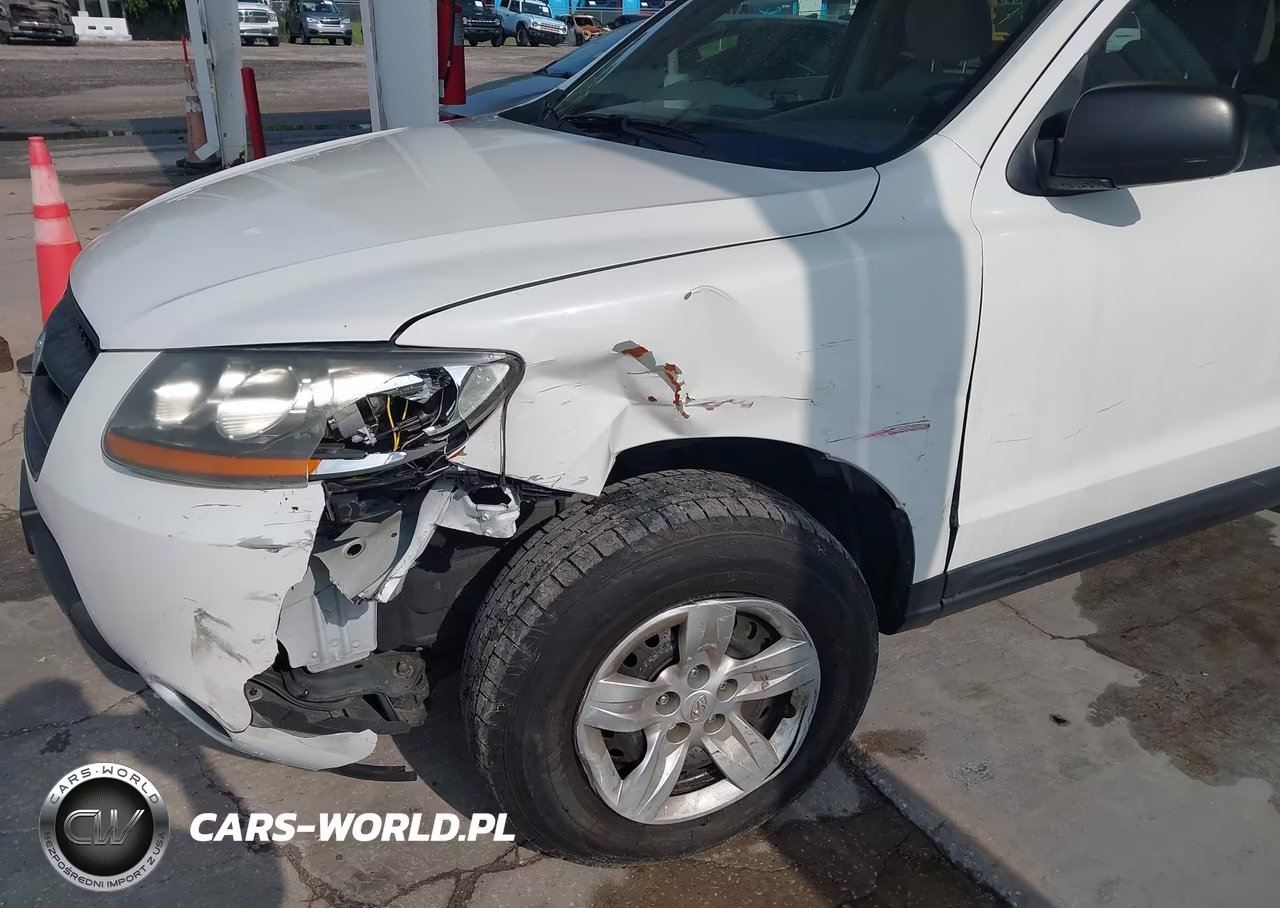 2009 Hyundai Santa Fe Gls VIN:5NMSG13D39H248121 - 6