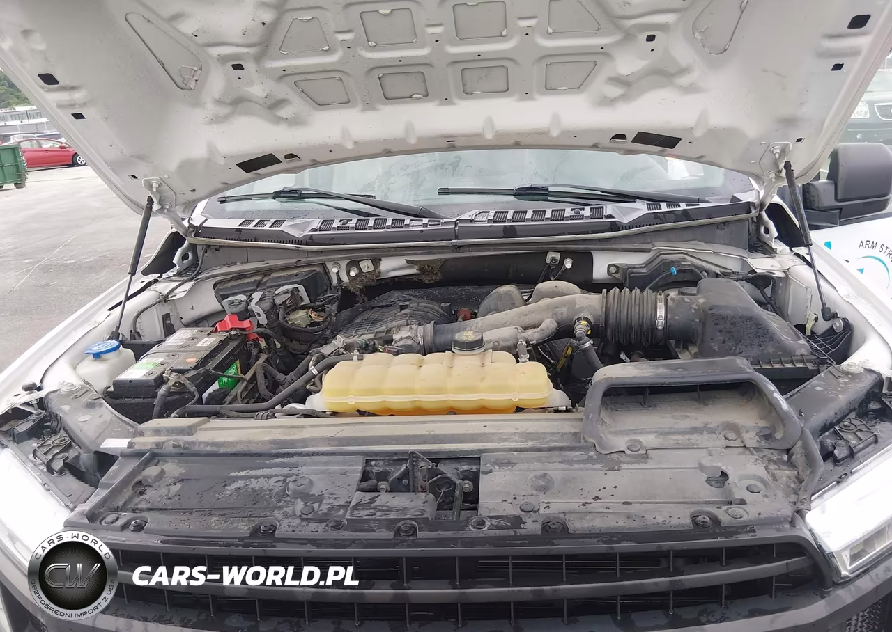 2019 Ford F-150 Xl VIN:1FTMF1EB8KKF32328 - 10