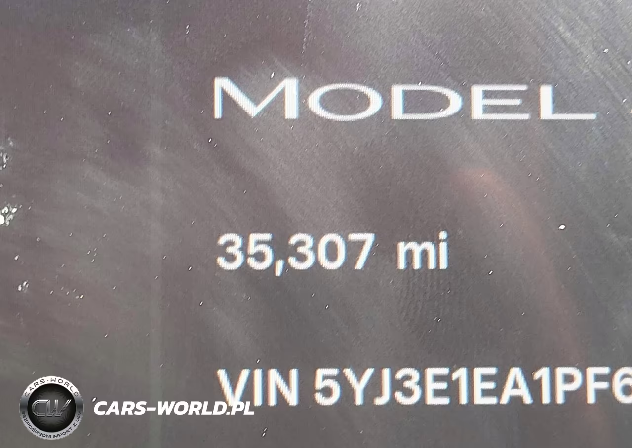 2023 Tesla Model 3 Rear-Wheel Drive VIN:5YJ3E1EA1PF698295 - 16