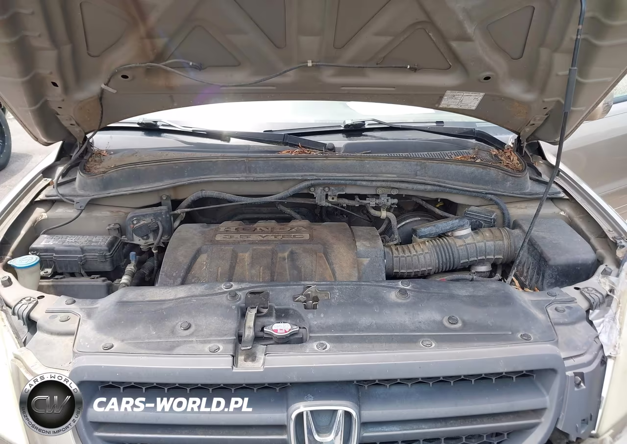 2005 Honda Pilot Ex-L VIN:2HKYF18525H502655 - 10