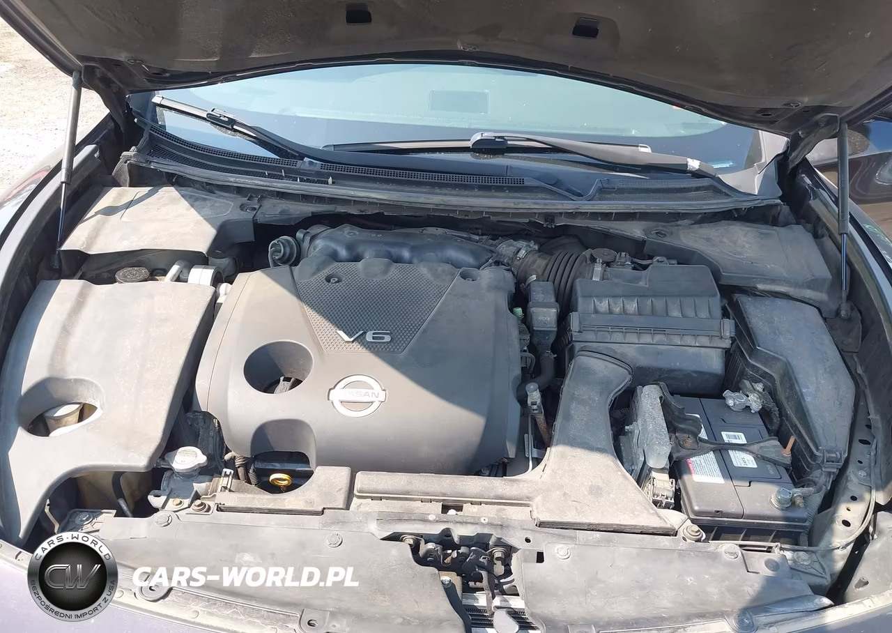 2010 Nissan Maxima 3.5 Sv VIN:1N4AA5AP4AC828150 - 10