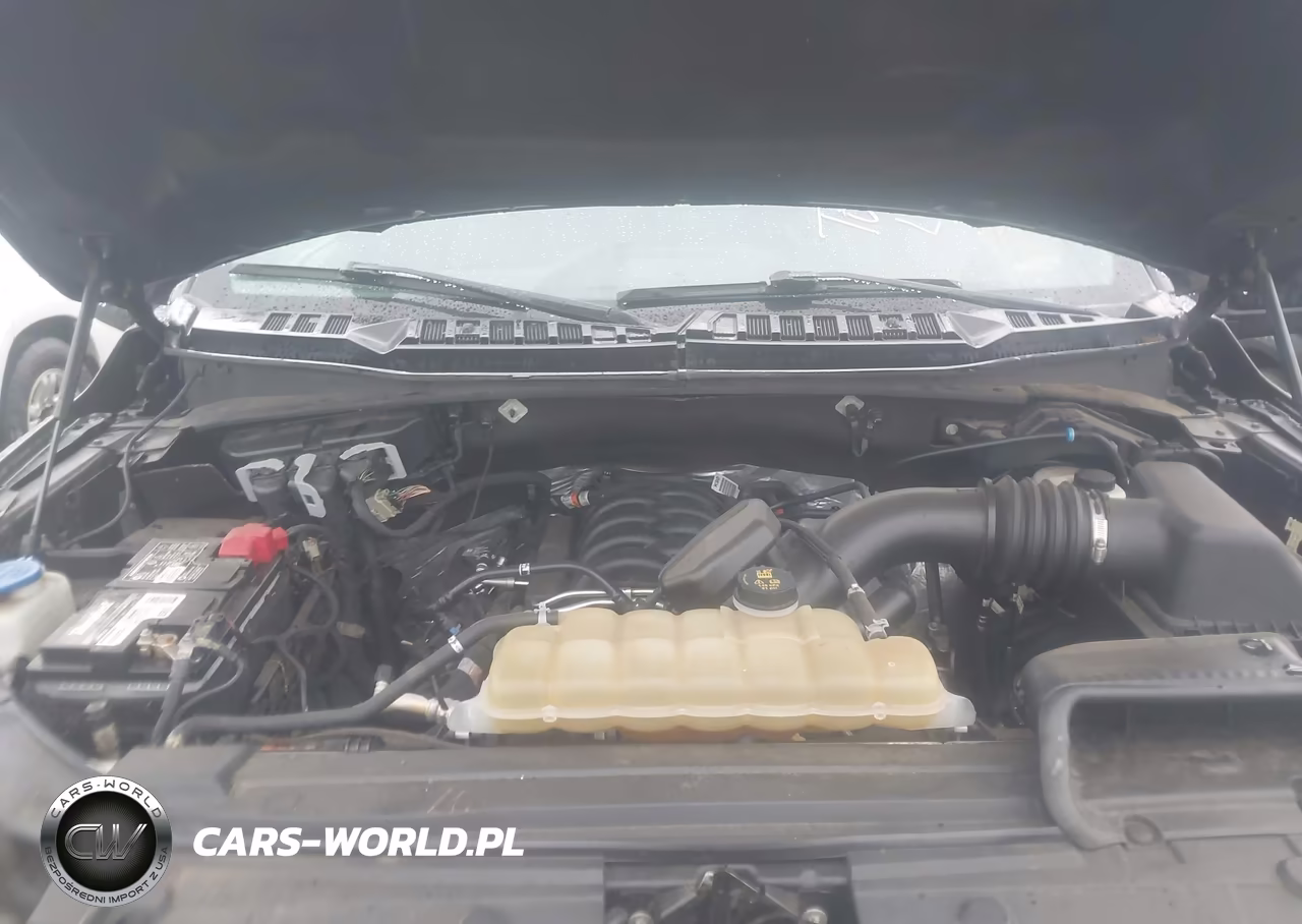 2019 Ford F-150 Xlt VIN:1FTEW1E53KKF08985 - 10