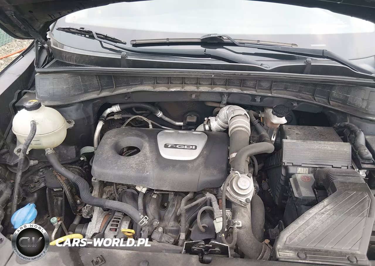 2017 Hyundai Tucson Limited VIN:KM8J3CA2XHU351835 - 10