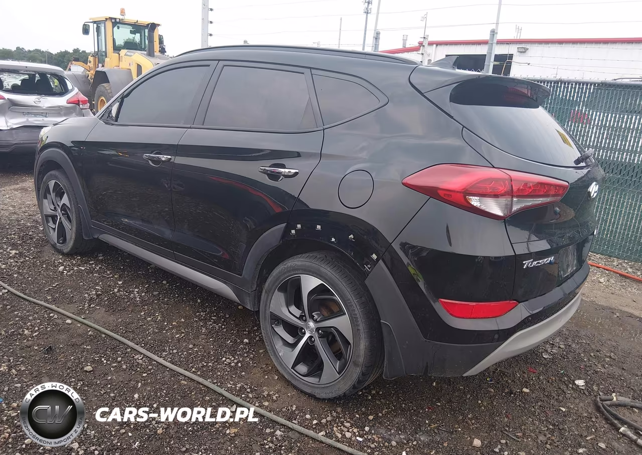 2017 Hyundai Tucson Limited VIN:KM8J3CA2XHU351835 - 3