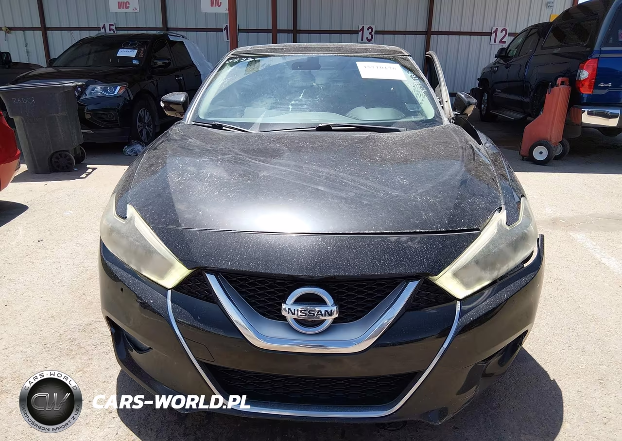 2016 Nissan Maxima 3.5 Platinum VIN:1N4AA6AP1GC433020 - 12