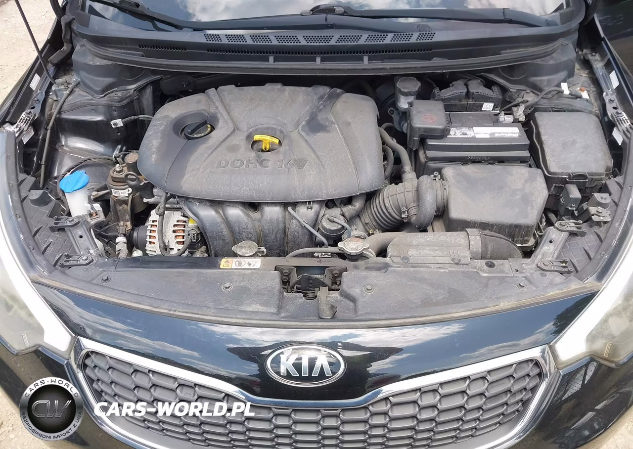 2016 Kia Forte Lx VIN:KNAFK4A66G5527999 - 10