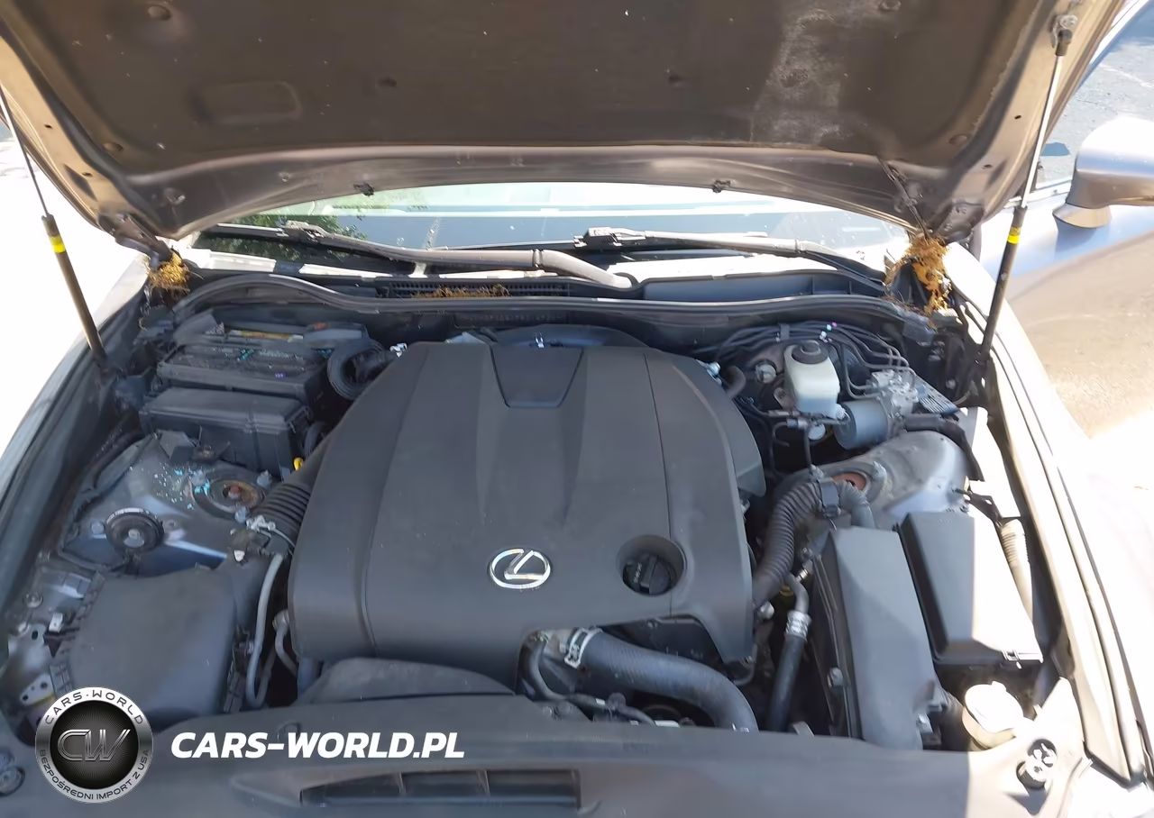 2015 Lexus Is 250 VIN:JTHCF1D20F5016934 - 10