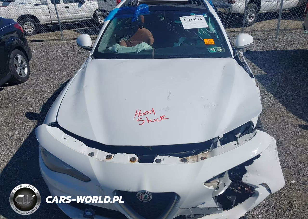 2017 Alfa Romeo Giulia Awd VIN:ZARFAEDN3H7551784 - 10